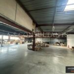 BATIMENT INDUSTRIEL A VENDRE SAINT-ALBAN-LEYSSE 294598448_73_0325_1.jpg