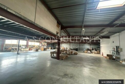 BATIMENT INDUSTRIEL A VENDRE SAINT-ALBAN-LEYSSE 294598448_73_0325_1.jpg