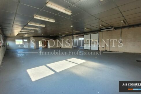LOCAL D'ACTIVITE LOCATION THORRENC 300368941_07_0160_3.jpg
