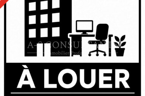 BUREAUX LOCATION ALLONZIER-LA-CAILLE 354736227_74_0130_3.jpg