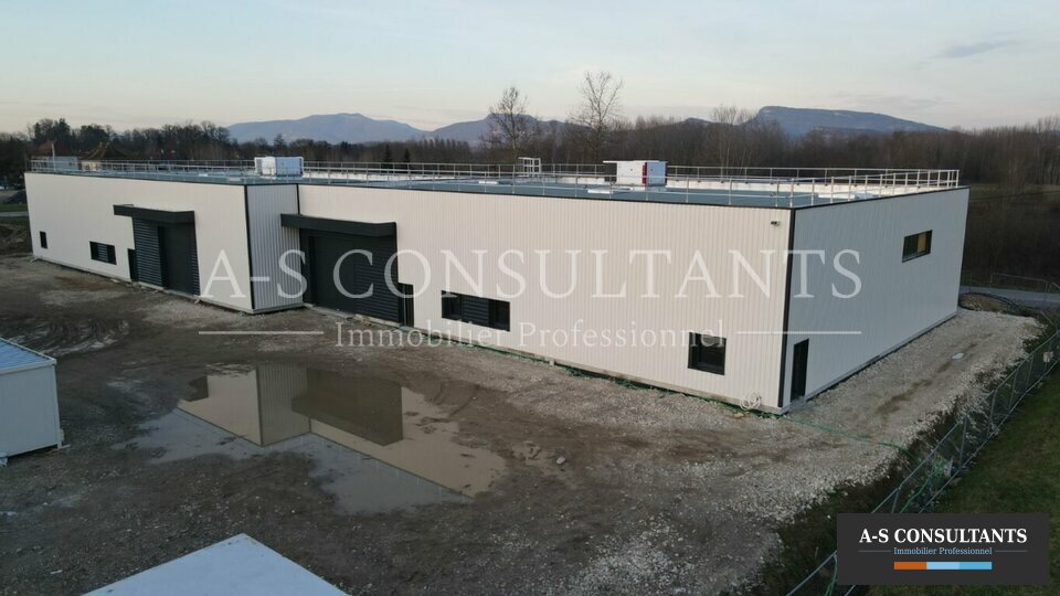 BATIMENT INDUSTRIEL LOCATION GRANIEU 434820870_38_0289_5.jpg