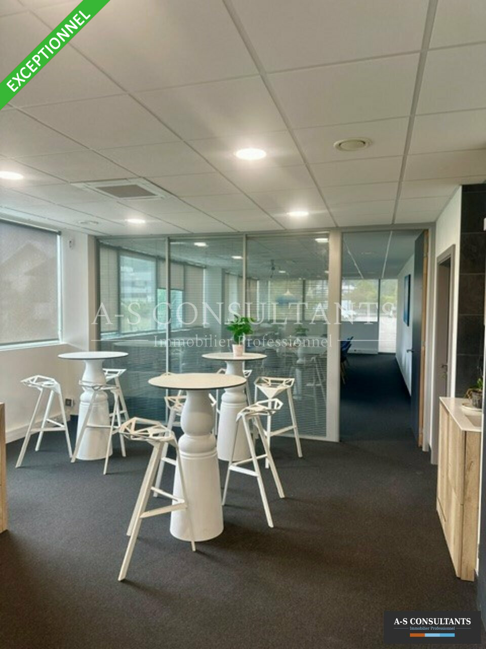 BUREAUX LOCATION ALBERTVILLE 781920365_73_0337_9.jpg