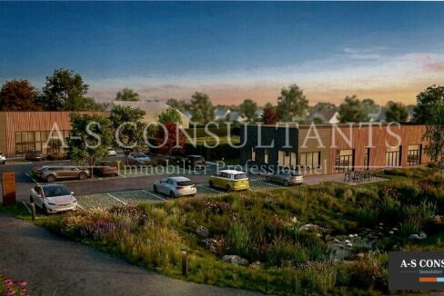 LOCAL COMMERCIAL LOCATION DOMESSIN 955287025_73_0308_3.jpg