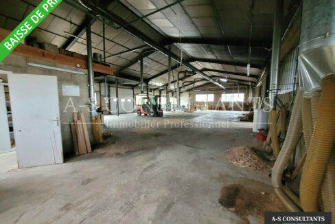 LOCAL D'ACTIVITE A VENDRE MORAS-EN-VALLOIRE 339339642_26_0247_4.jpg