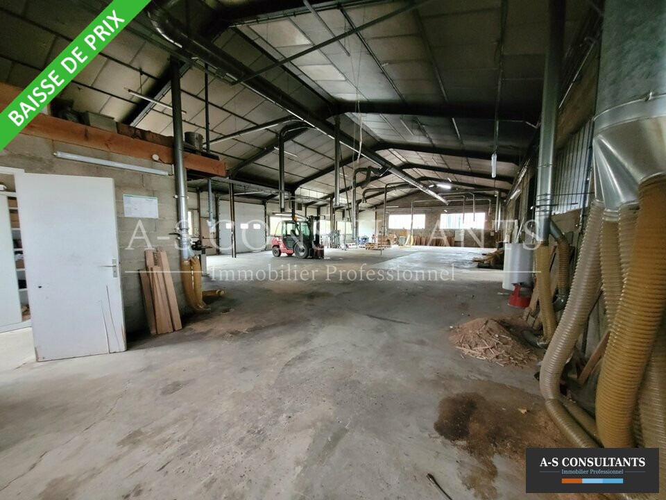LOCAL D'ACTIVITE A VENDRE MORAS-EN-VALLOIRE 339339642_26_0247_4.jpg