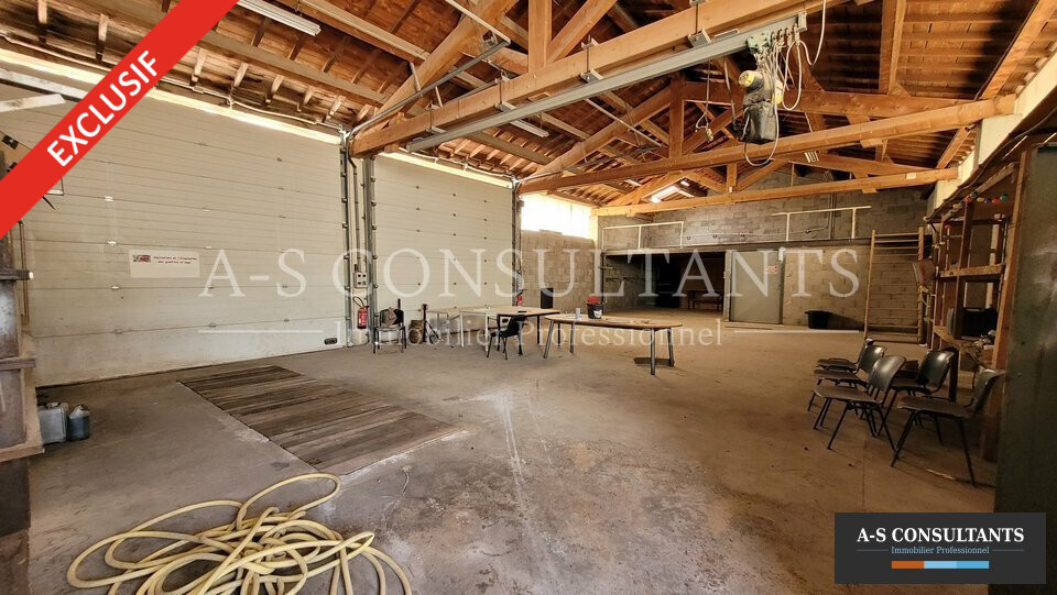 LOCAL D'ACTIVITE LOCATION FÉLINES 397102393_07_0161_3.jpg