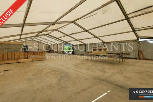 LOCAL D'ACTIVITE LOCATION FÉLINES 414329937_07_0162_2.jpg