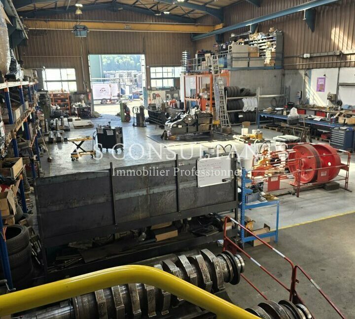 BATIMENT INDUSTRIEL LOCATION SAINTE-HÉLÈNE-SUR-ISÈRE 518472472_73_0347_4.jpg