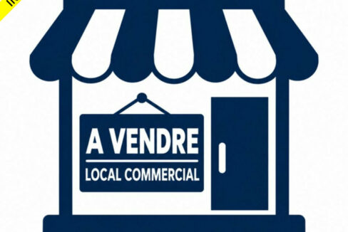 LOCAL COMMERCIAL A VENDRE ALLONZIER-LA-CAILLE 526669546_74_0131_2.jpg