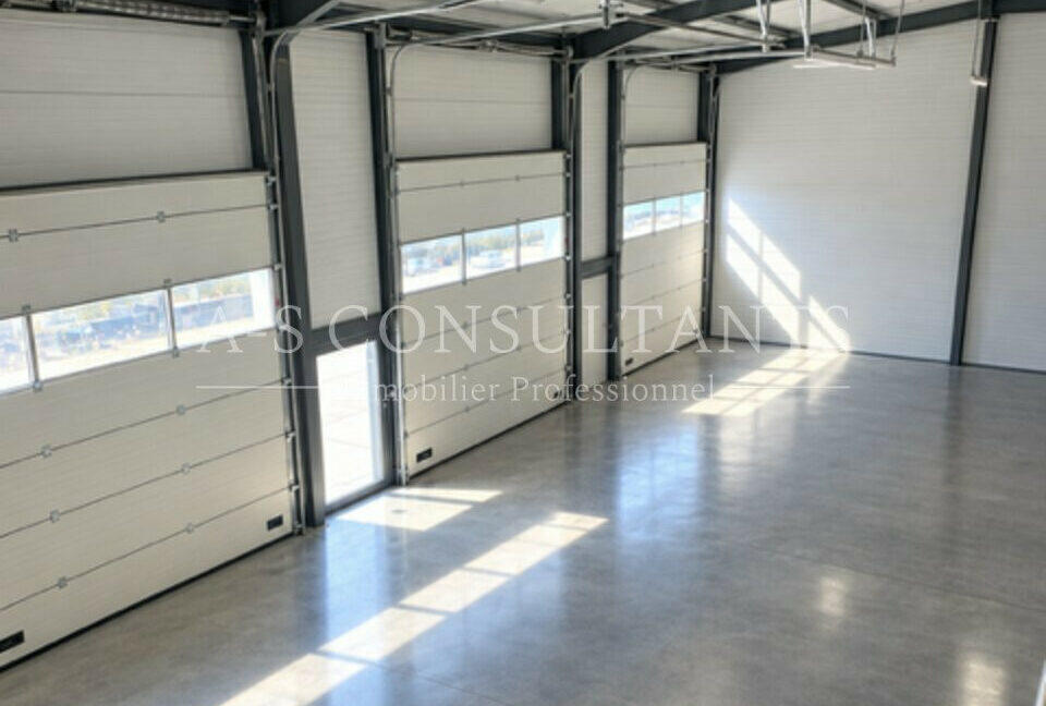 LOCAL D'ACTIVITE LOCATION ARBIN 605056624_73_0350_1.jpg