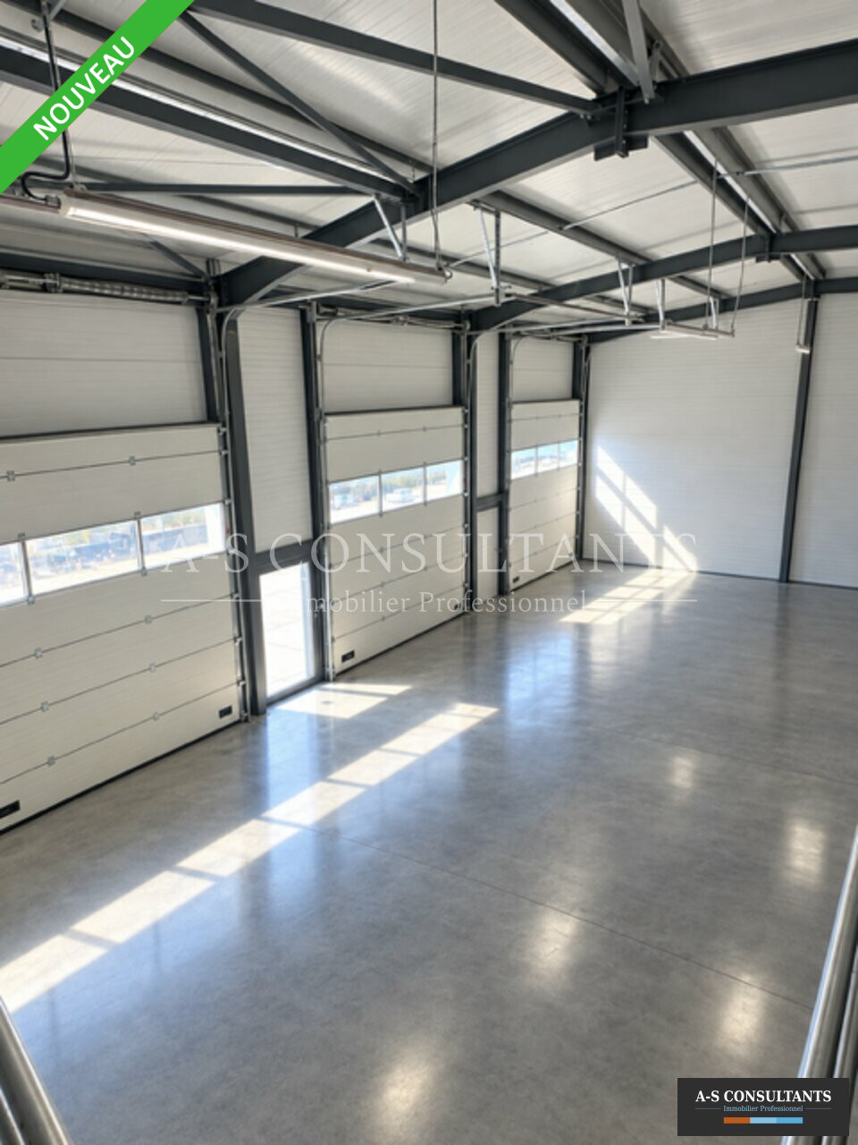 LOCAL D'ACTIVITE LOCATION ARBIN 605056624_73_0350_1.jpg