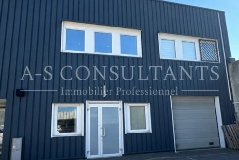 LOCAL PROFESSIONNEL LOCATION ANNECY 088066626_74_0136_1.jpg