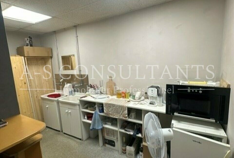 LOCAL PROFESSIONNEL LOCATION ANNECY 089345498_74_0136_3.jpg