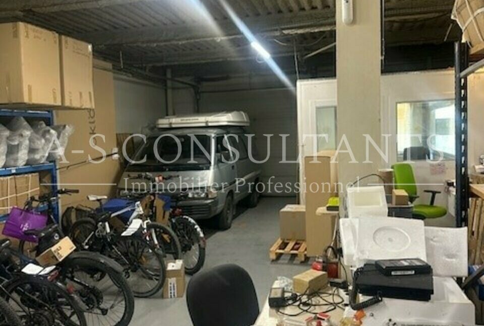 LOCAL PROFESSIONNEL LOCATION ANNECY 089484961_74_0136_4.jpg