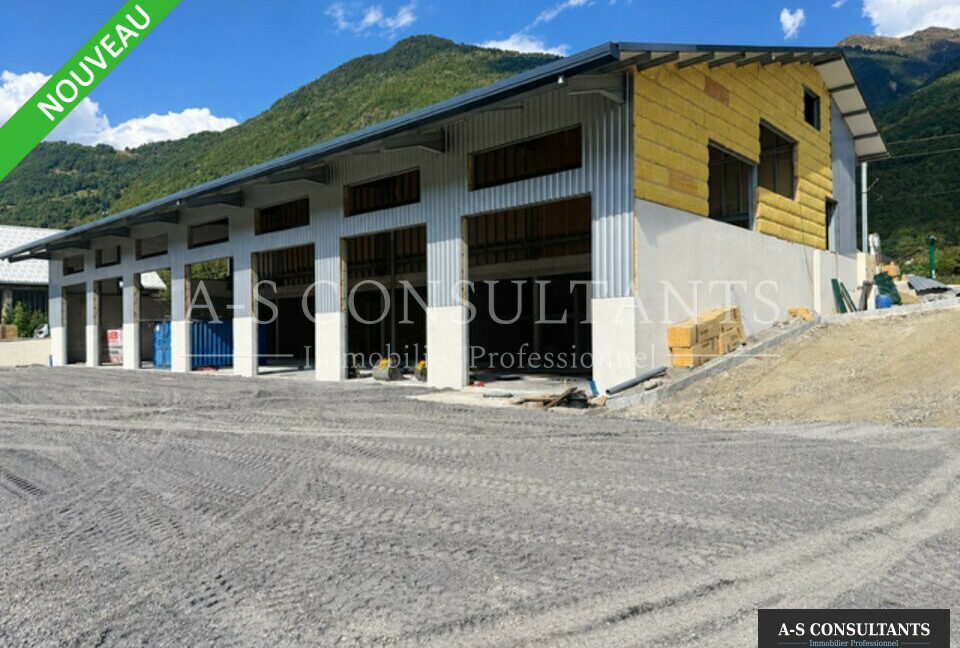 LOCAL D'ACTIVITE LOCATION TOURS-EN-SAVOIE 431084262_73_0351_3.jpg